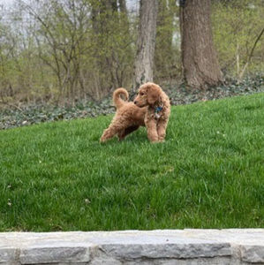 Meet your Posher, Michelle